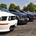 Mustang en folies