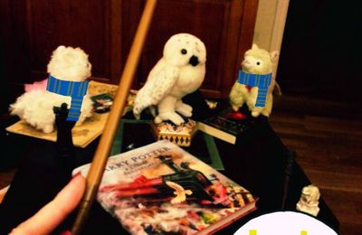 La Nuit des Livres Harry Potter - #LireHP1