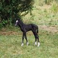 La naissance du jour