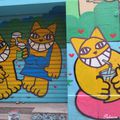 Histoire de chats à Marseille