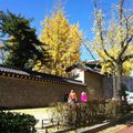 Magnifique automne au palais de gyeongbokgung