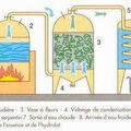 Les extraits au CO2 en question