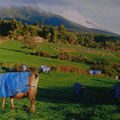 2000 - LA NOUVELLE ZÉLANDE CHAMPIONNE DU MONDE D'AGRICULTURE