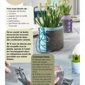 DIY - un corset pour plante fleurie