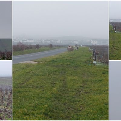 Entre brume et soleil