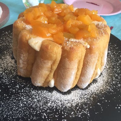 Charlotte aux abricots 