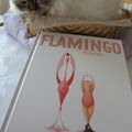 Flamingo - Molly Idle