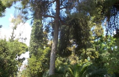  Pilates  dans le Jardin National d'Athènes 