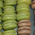 Macarons Kiwi !