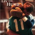 Ma Vie de Chien (Mitt liv som hund) de Lasse Hallström - 1985