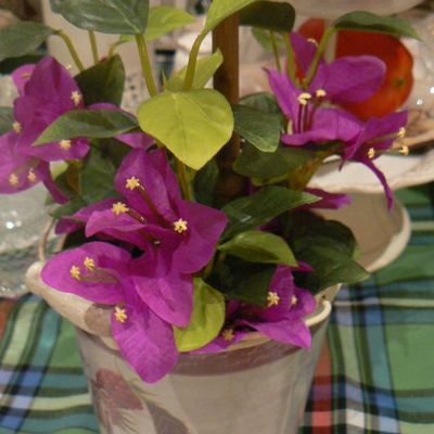 ΠΕΡΙΜΕΝΟΝΤΑΣ ΤΗΝ ΑΝΟΙΞΗ