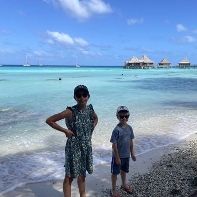 Dimanche 21: perle, plage et plongée