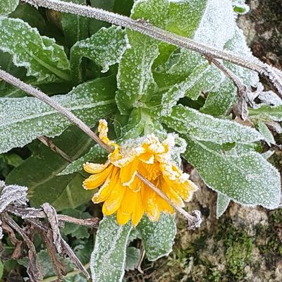 Photos du Dimanche !