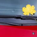 L'automne, c'est beau comme...