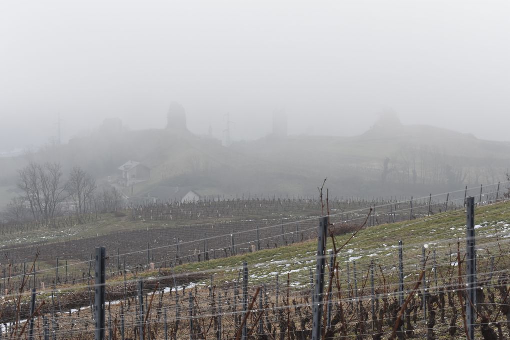 Balade dans les vignes de Chignin (73)