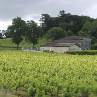 Blaye-Gironde 