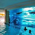 Piscine insolite