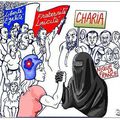 L'UMP, force anti-musulmans