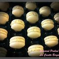 Macaron Praliné BIO