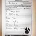 Canine Pawsecution Service - B1