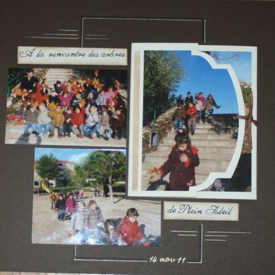 A la rencontre des arbres dans l'album !