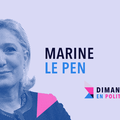 DIMANCHE EN POLITIQUE SUR FRANCE 3 N°48 : MARINE LE PEN 