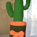 Cactus #1 tout en douceur