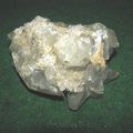 CALCITE H702 - 59.Glageon - COLLECTION MINERAUX 