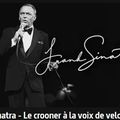 TV - Frank Sinatra, Le crooner à la voix de velours 