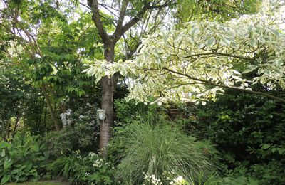 le jardin de Marguerite