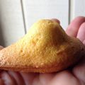 Madeleines au thermomix