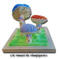 J'ai ramassé des champignons