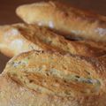 Baguettes (levain/levure) sur poolish