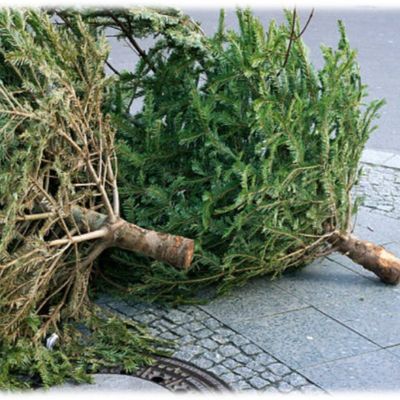 Upcycling sapin de Noël - 2