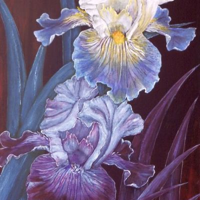 Iris (3)