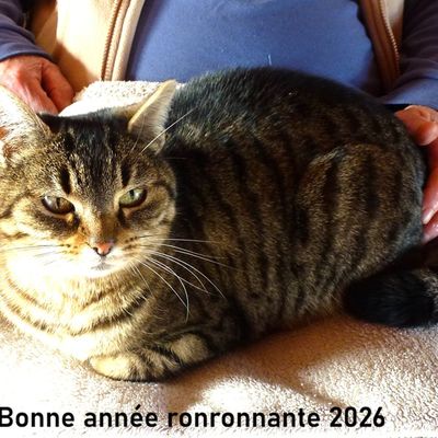 Bonne Année 2026 !