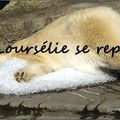 Blog au repos !