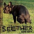 Seether "Seether: 2002-2013"