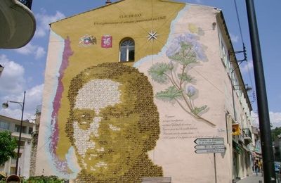 Claude Gay, botaniste et naturaliste dracénois 