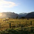 Fox Glacier 