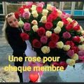 Joyeuse Saint Valentin 