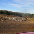 fini la tranquillité..c'était trop beau pour durer...des hectares de forêt en moins,une carrière a la place,grrrr!! 