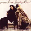 Shakespears Sister - Goodbye Cruel World - cassette single 2