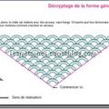 Tuto adapation de modèle 2 : transposer ses observations en schéma général