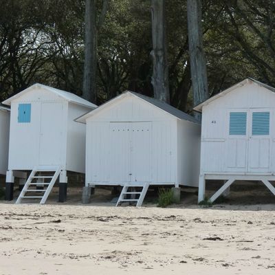 Bonnes vacances à tous ou que vous soyez ......