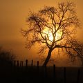 Lever de soleil sur la campagne