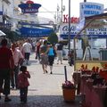 Autour de Roquebrune sur Argens (Avril 2007) - 16