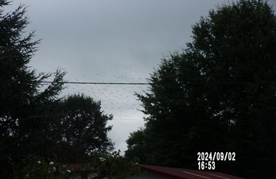 Arrivée des Cigognes à ISPOURE ! ! !