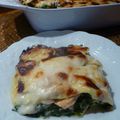 Lasagnes aux épinards et saumon