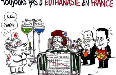 Toujours pas d'euthanasie en France - par Fabb - 13 janvier 2015